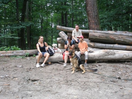 033[2].JPG