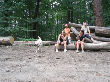 035[1].JPG