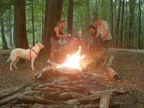 051[1].JPG