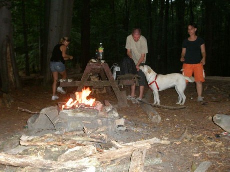 052[1].JPG