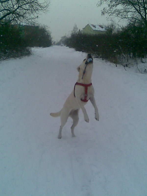 pekne:)