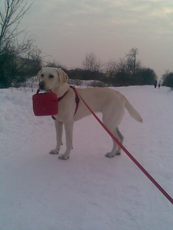 tarinka:)