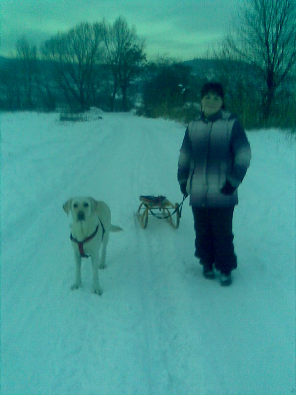 tara a alenka.