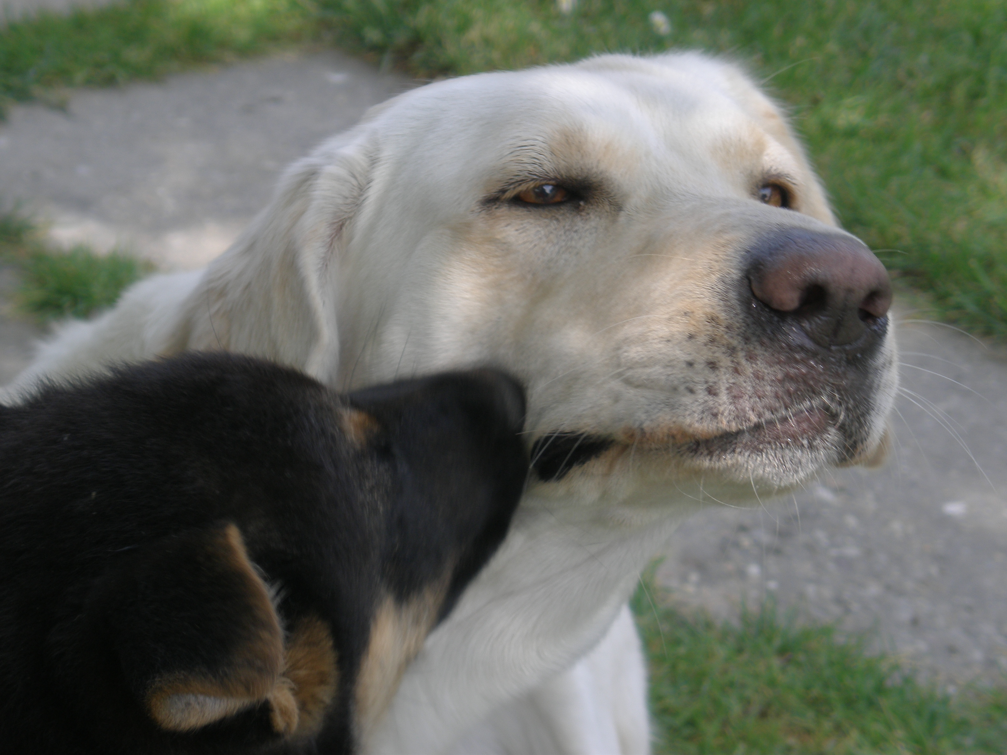 budy ked mal dva mesiace a tara:)