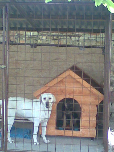 kuk budy sa schoval