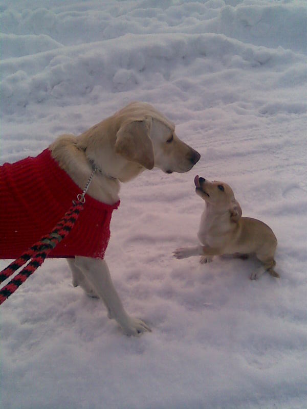 Tara a Fredy