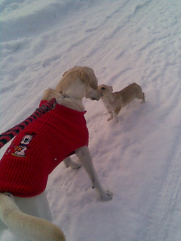 Tara a Fredo:)