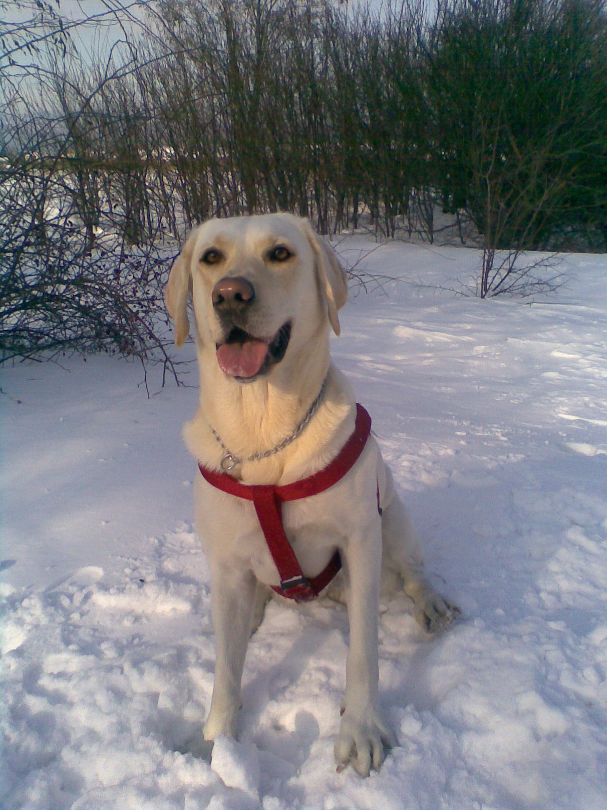 kuk:)