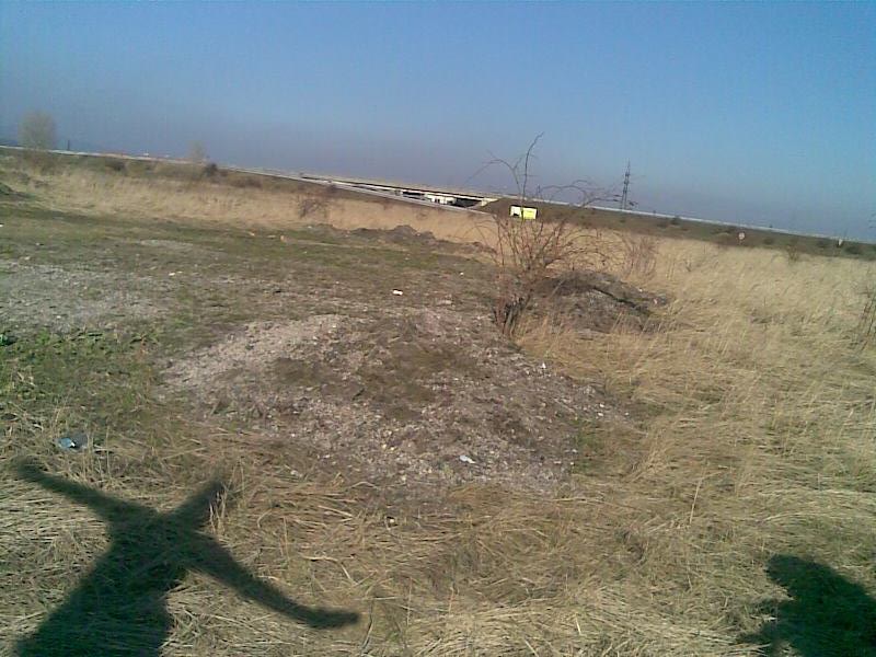 tień