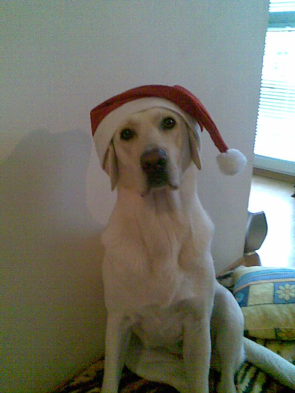 ho ho ho!!!