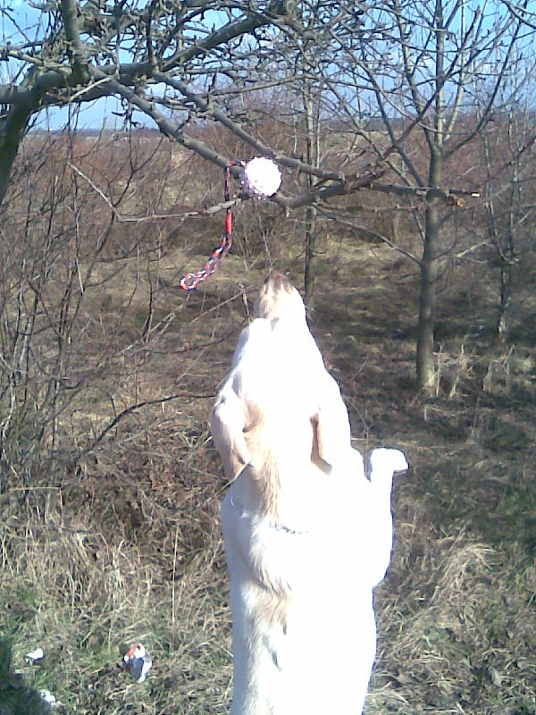 hop...