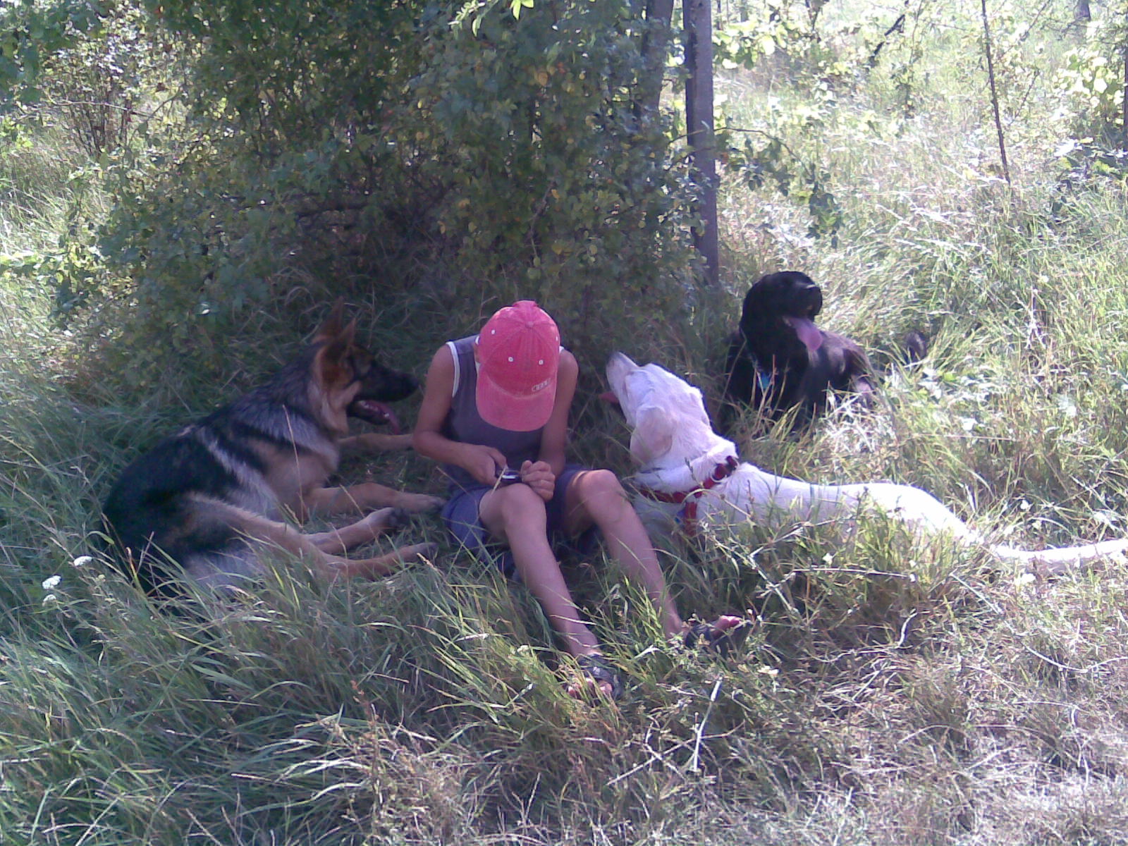 brix,adam,tara a rony