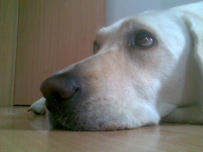 Snímka055.jpg