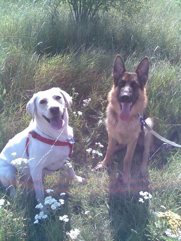 tara a brix