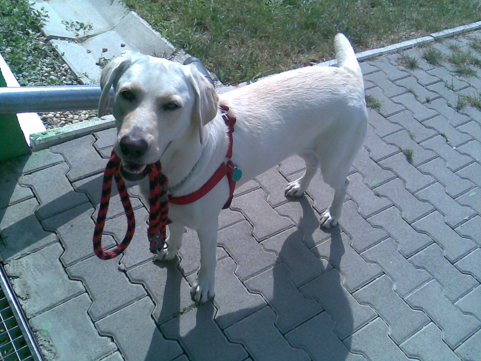 zober a ideme domov...