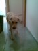 dones misku:)