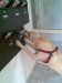 noviny:):):)