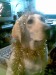 u babky:P