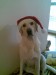 ho ho ho!!!