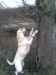 hop.....